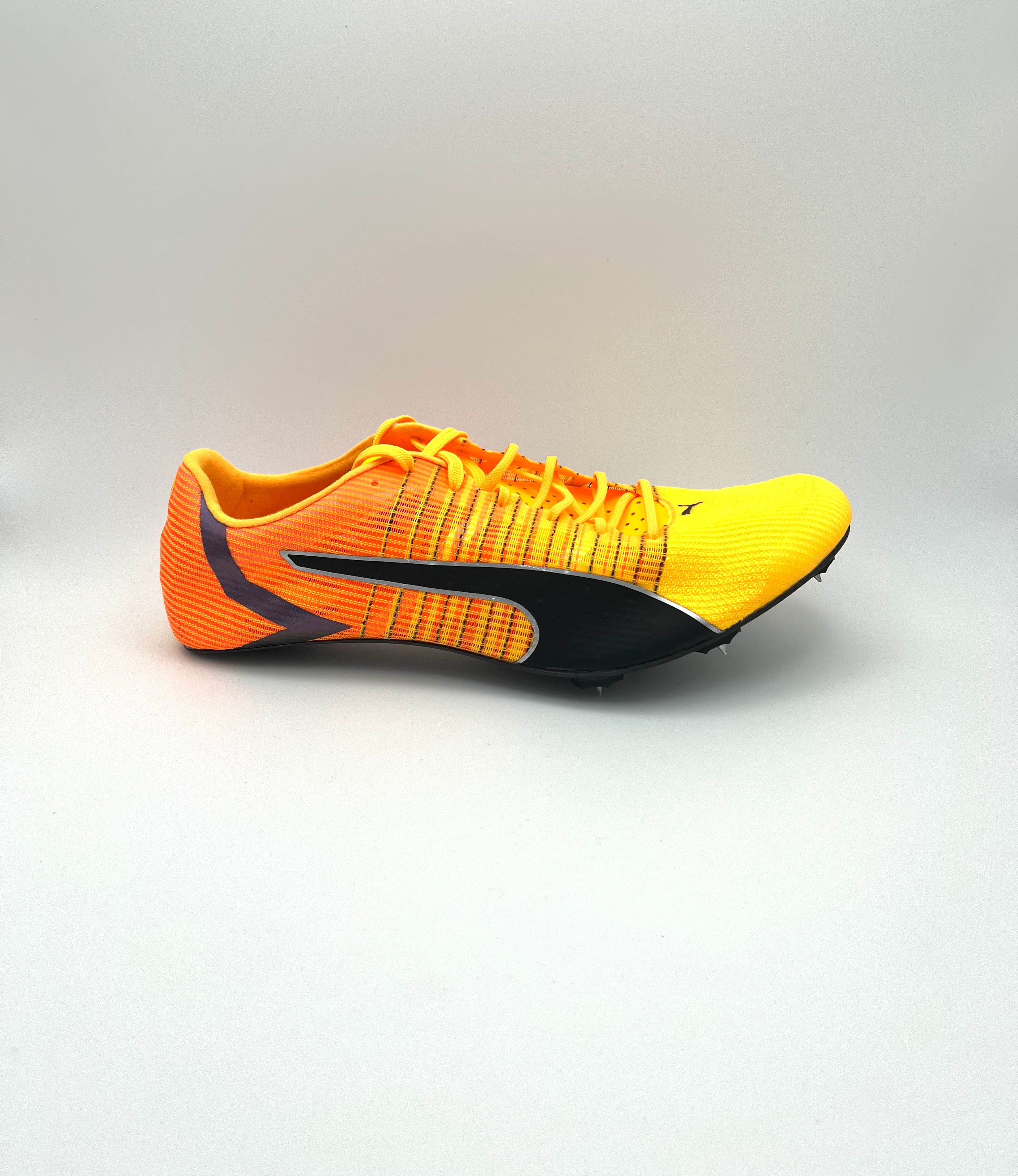 EvoSPEED Tokyo Future Faster