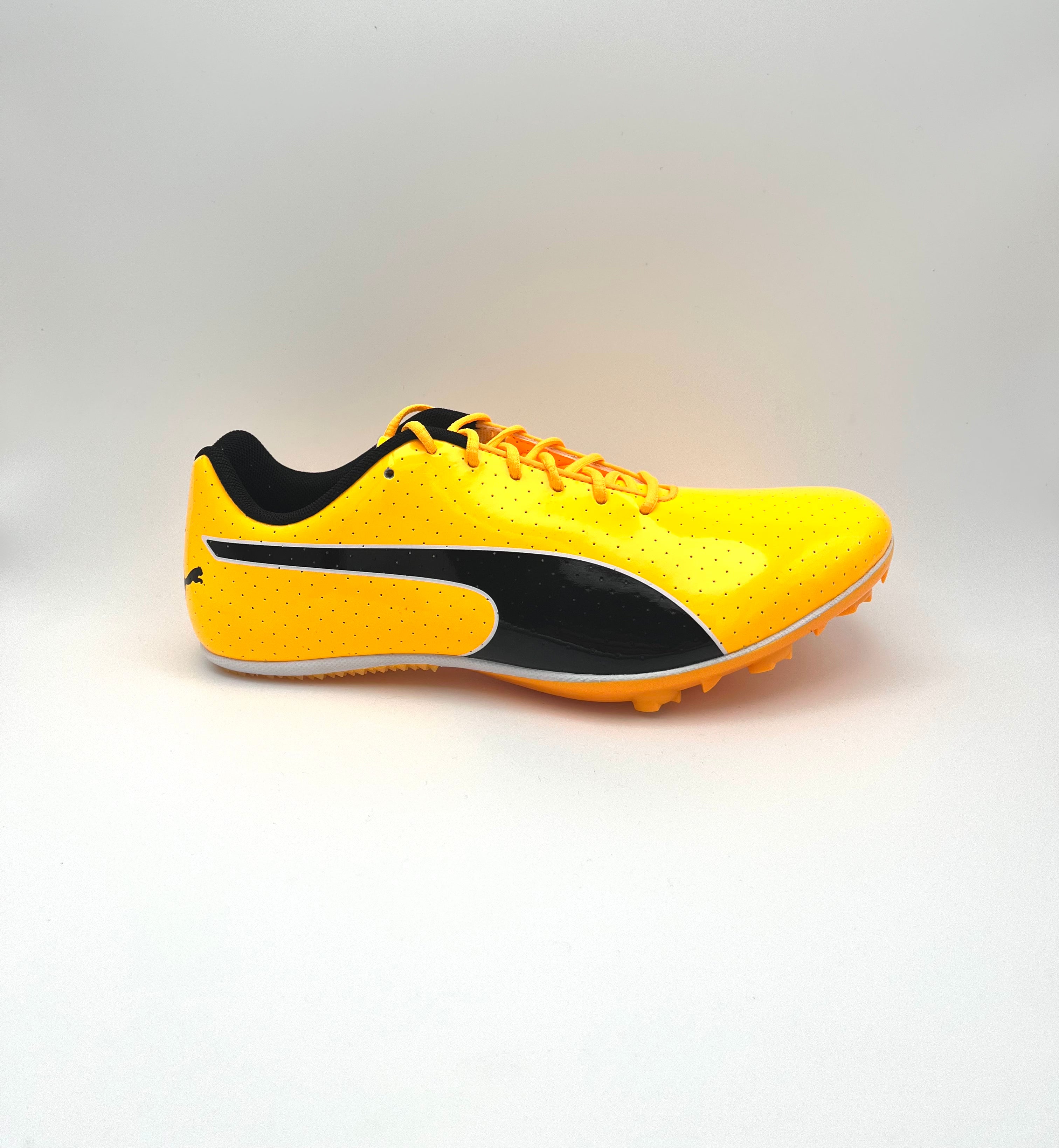 EvoSPEED Sprint 14.5