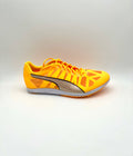 Puma EvoSPEED Distance 10